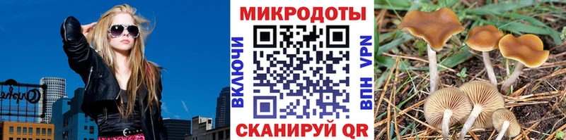 Купить  Зарайск  Галлюциногенные грибы Psilocybine cubensis 